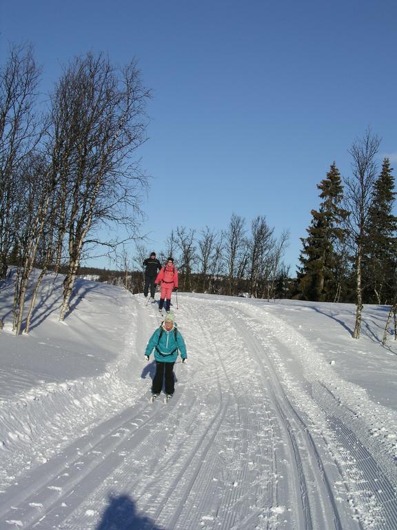 Birkelund Camping Гейло Экстерьер фото