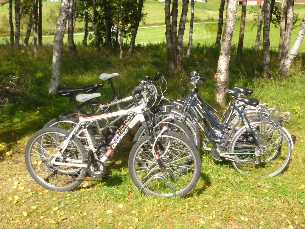 Birkelund Camping Гейло Экстерьер фото