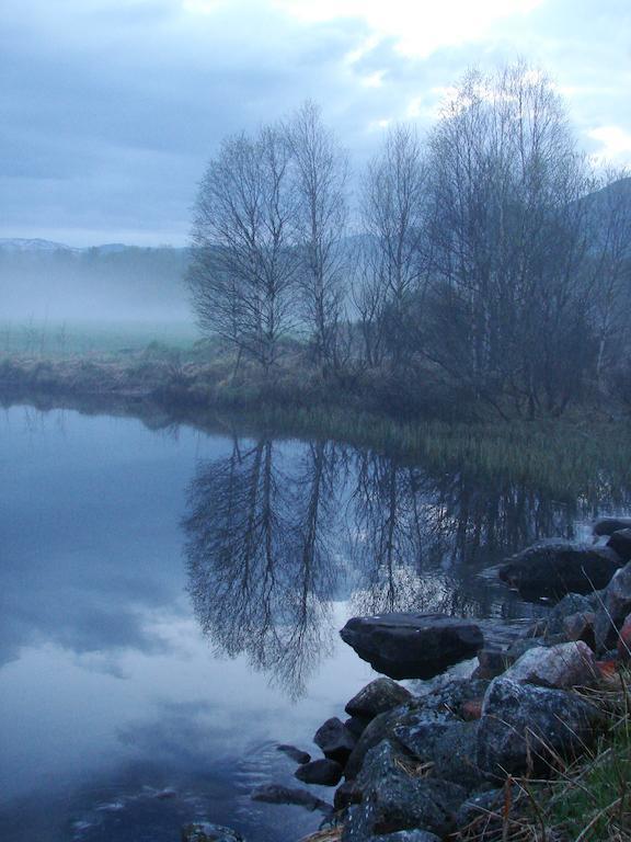 Birkelund Camping Гейло Экстерьер фото