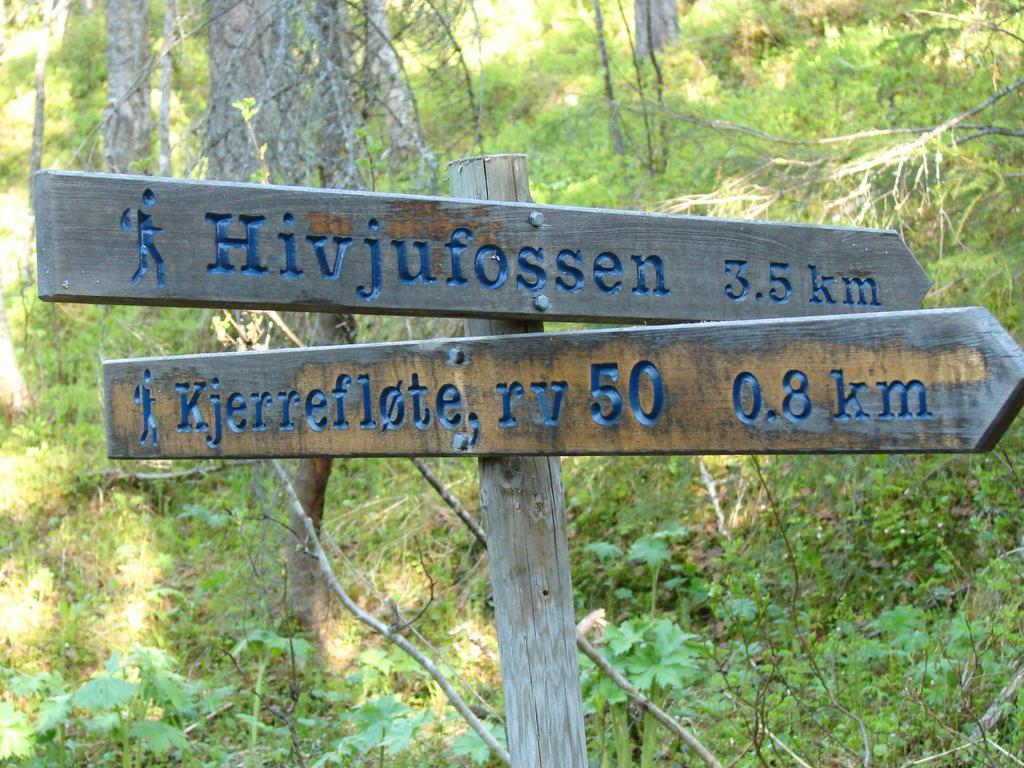 Birkelund Camping Гейло Экстерьер фото