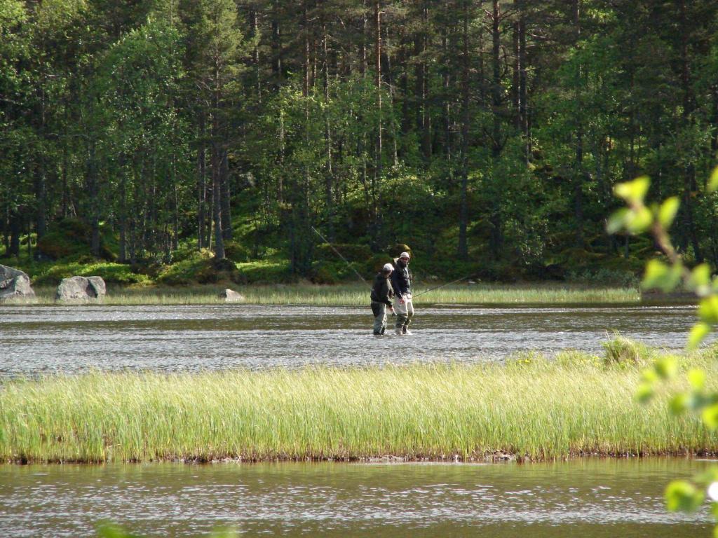Birkelund Camping Гейло Экстерьер фото